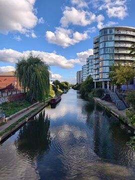 Urban canal view with modern apartments and weeping willow tree.