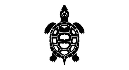 Black and White Turtle Illustration with Detailed Shell Pattern 1.
