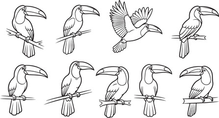 Obraz premium birds on a branch