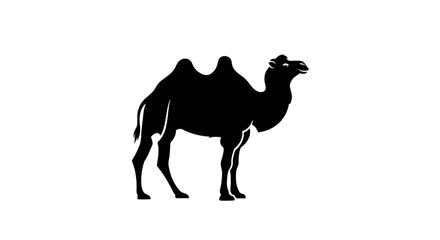 Silhouette of a Bactrian Camel Standing Tall in the Desert.