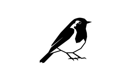 Elegant Black and White Bird Illustration on White Background.
