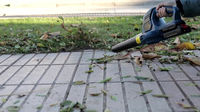 Low-angle view of cordless leaf blower pushing leaves off walkway