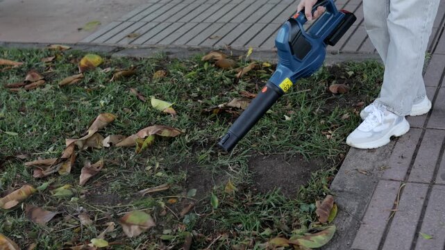 Cordless leaf blower removing leaves from grassy border area