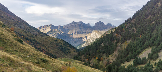View of a mountain range through a valley with trees and grass under a cloudy sky in the distance