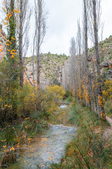 Flowing River in Autumn Forest with Natural Waterfall