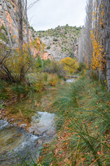 Golden Autumn Trees Framing a River and Waterfall