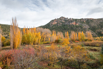 Fototapeta premium Rustic Fall Pathway Framed by Trees and Mountain Scenery