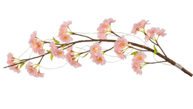 Isolated pink cherry blossoms stem, single sprig of artificial flowers, spring blooming plant
