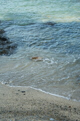 海岸に打ち寄せる波