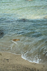 海岸に打ち寄せる波