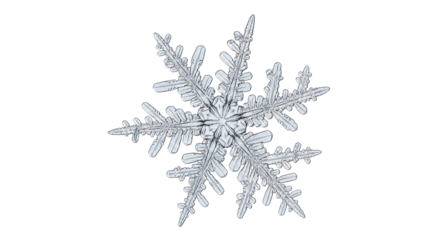 Isolated beautiful complex six-sided snowflake, natural ice crystal formation for graphic design