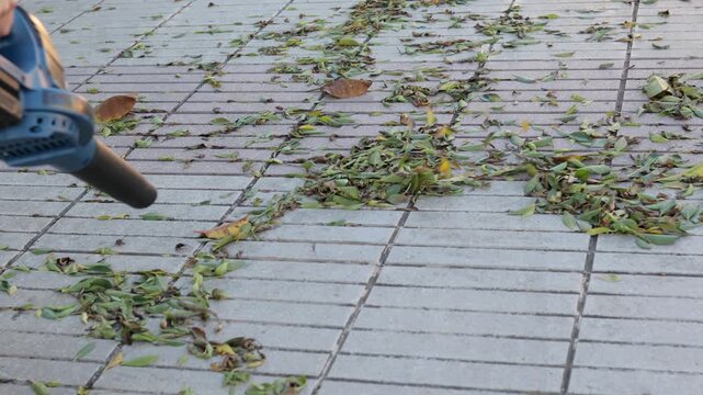 Cordless leaf blower pushing leaves along walkway edge