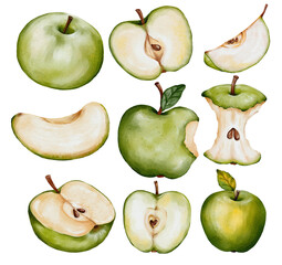 set of  green apples watercolor. Hand drawing