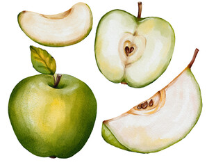 Healthy Food Art: Realistic Watercolor Painting of a Green Apple