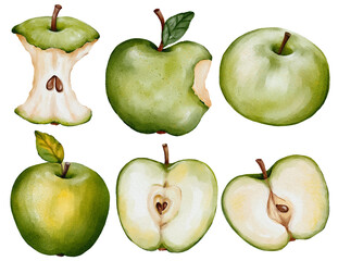 Healthy Food Art: Realistic Watercolor Painting of a Green Apple