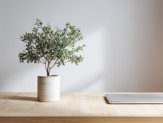 Workspace with light wooden surface and single indoor plant, soft winter light, editorial minimalism