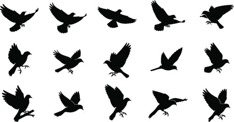 Silhouette of birds flying in different poses on white background