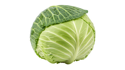 Fototapeta premium fresh cabbage isolated on white or transparent background. PNG