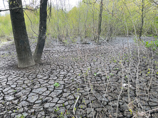 Dry and broken grey soil background