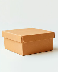 Plain cardboard box isolated on white background. Packaging, delivery, storage or e-commerce concept