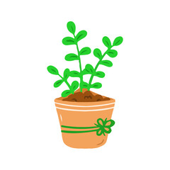 Decorative Potted Houseplant with Green Foliage