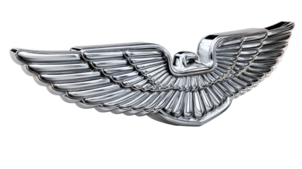 Soaring Symbol: A beautifully crafted, gleaming metallic wing emblem, representing freedom, aspiration, and the spirit of flight. 