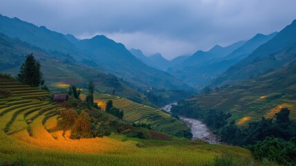 A stunning view of terraced rice fields set against a backdrop of misty mountains, showcasing nature's beauty and agricultural harmony.