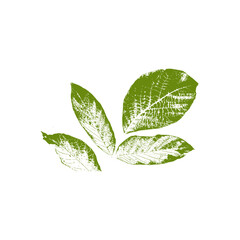 green leaf icon