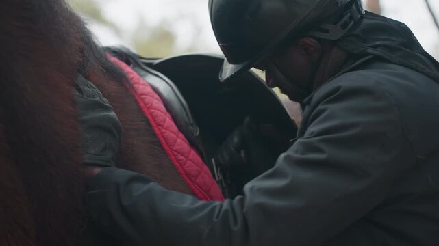 rider adjusting saddle and pad on horse, closeup of saddle and girth being secured on horse, detailed view of rider carefully placing saddle and red pad on bay horse in outdoor paddock