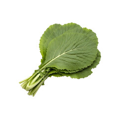 Fresh bunch of vibrant green leafy mustard greens, healthy food