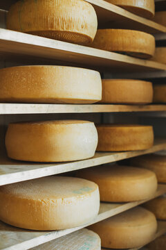 Heads of old cheese on a shelfs at the Italian cheese factory.