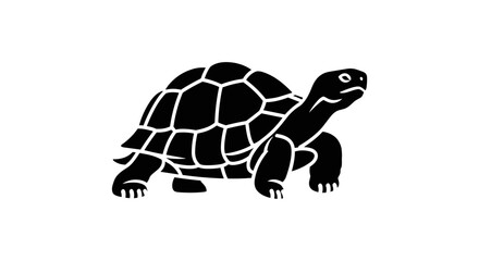 Black and White Turtle Illustration with Detailed Shell Pattern.