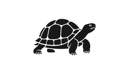 Black and White Turtle Illustration with Detailed Shell.