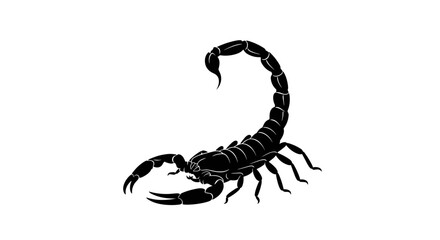 Detailed Silhouette of a Scorpion with Raised Tail.