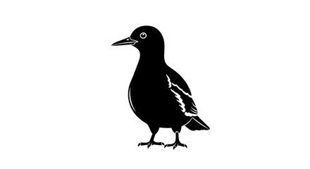 Elegant Blackbird Illustration A Detailed Wildlife Depiction.