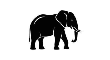 Elegant Silhouette of an African Elephant Walking.