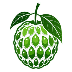 noni fruit silhouette on white background