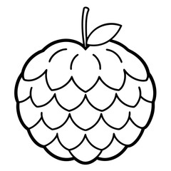 sugar apple custard apple  line art on white background