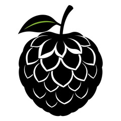 sugar apple custard apple silhouette  on white background