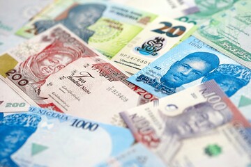 Nigerian naira currency money bills. The current banknotes lies on table in big amount close up