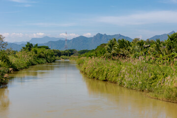 Fototapeta premium Countryside landscape with view along the Wang river and mountains, Green grass meadow and white sugarcane flowers, Saccharum spontaneum and palm trees, Chae Hom District, Lampang province, Thailand.