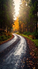 Curved road winds through a forest bathed in autumn's golden light
