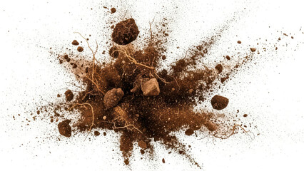 Dramatic explosion of dark brown soil, dirt, and roots suspended mid-air against a clean white background.