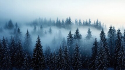 A scenic view of a forest shrouded in fog during dusk, creating a mystical and atmospheric landscape.