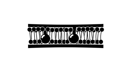 Lipid Bilayer Structure Cell Membrane Diagram with Proteins.