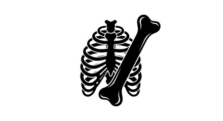 Ribcage and Bone Illustration Anatomical Skeleton Design. © CoArt