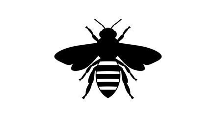 Obraz premium Silhouette of a bee with wings spread on white.