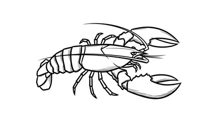 Detailed Lobster Illustration A Crustacean in Black and White.