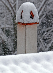 Lone snowy chimney