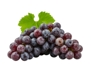 Fresh ripe red grape bunch with a vibrant green leaf, isolated